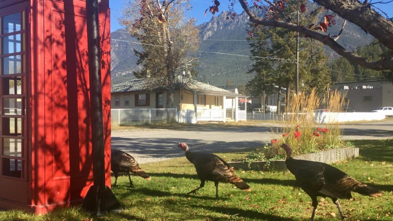 Piccadilly Motel Radium Hot Springs Dış mekan fotoğraf