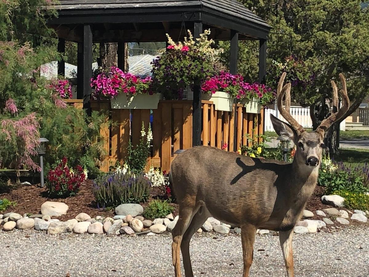 Piccadilly Motel Radium Hot Springs Dış mekan fotoğraf