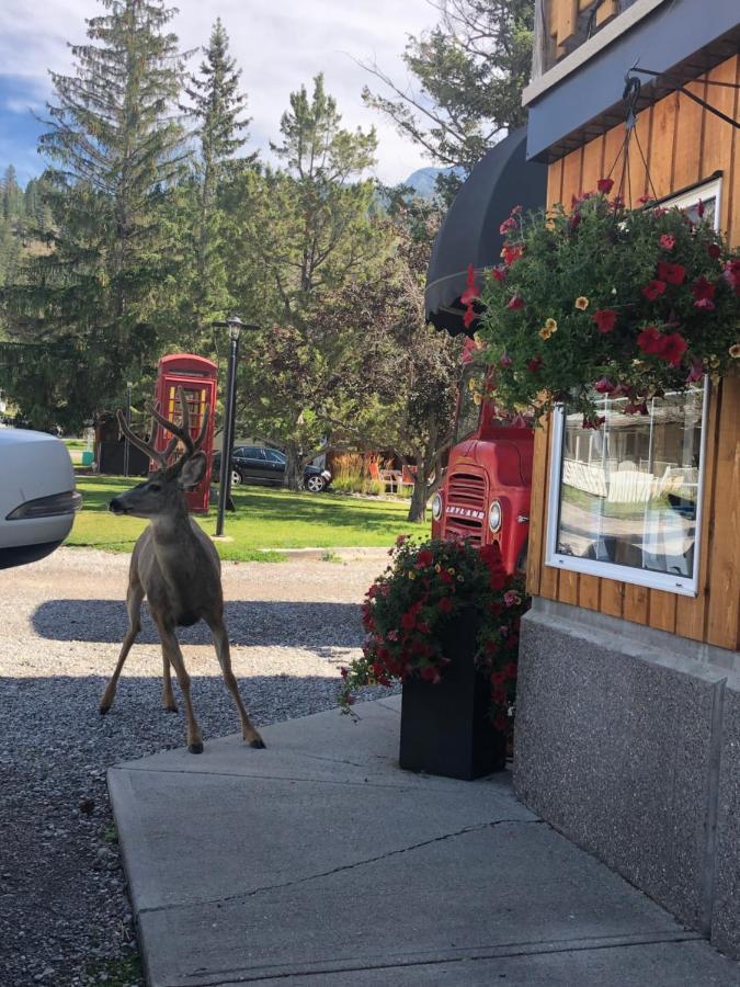 Piccadilly Motel Radium Hot Springs Dış mekan fotoğraf